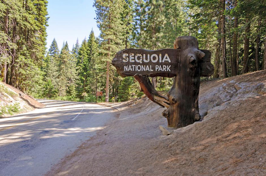 rough-hewn Sequoia National Park sign