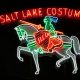 Salt Lake Costume Neon lights