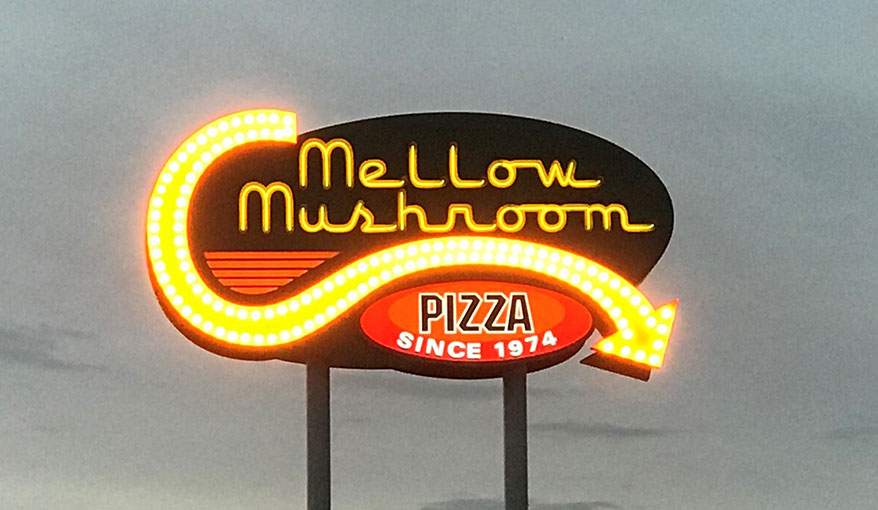 LEDs in Mellow Mushroom in Florida 