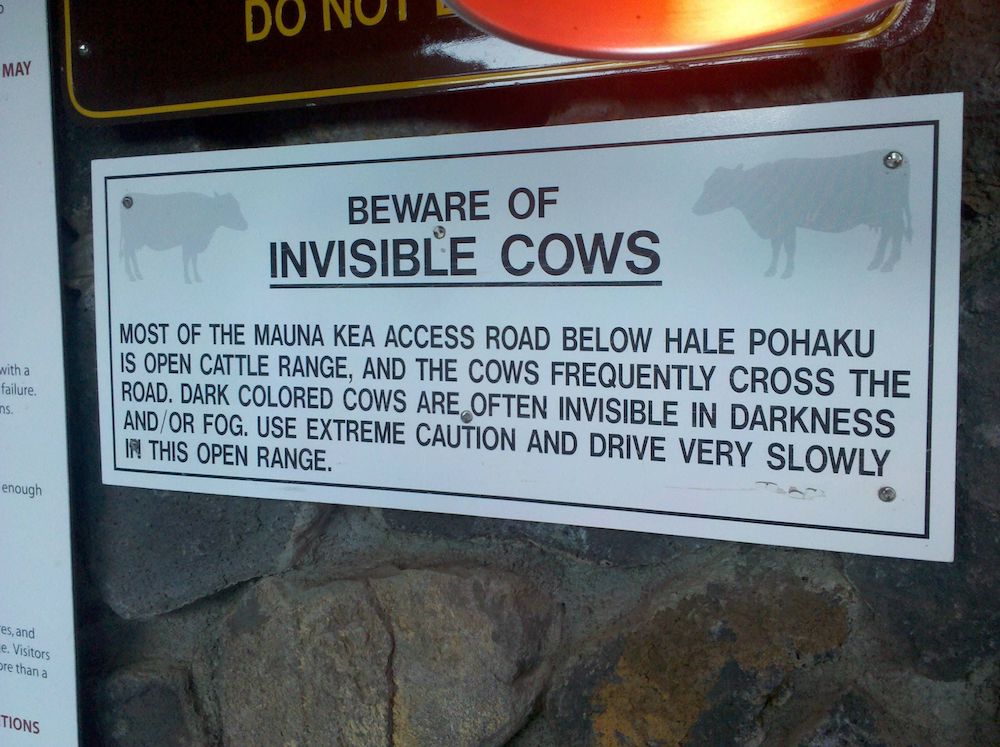 14 Unusual Warning Signs You Won't Find in Your Neighborhood